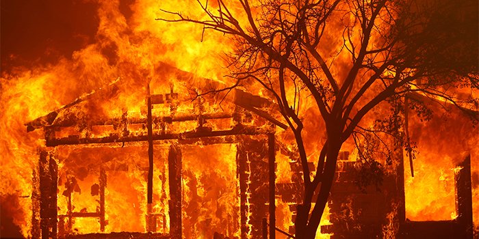 image-896388-wild-fire-2020-c51ce.w640.jpg
